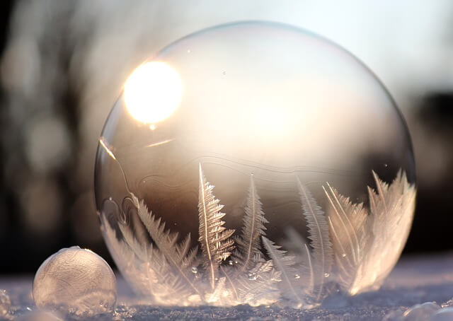 Winterize Your Garden