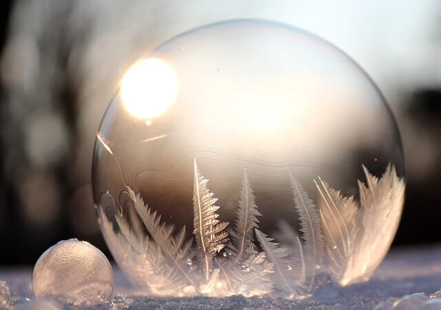 Easy Steps to Winterize Your Garden and Protect Plants: A Comprehensive Guide